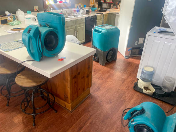 Carpet water damage restoration in Columbiana, OH