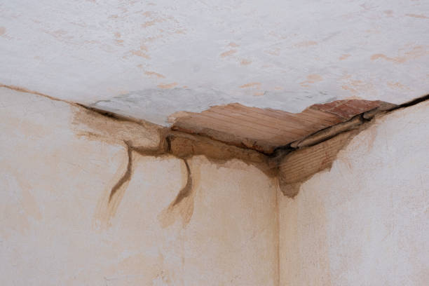 Best Water damage restoration services  in Columbiana, OH