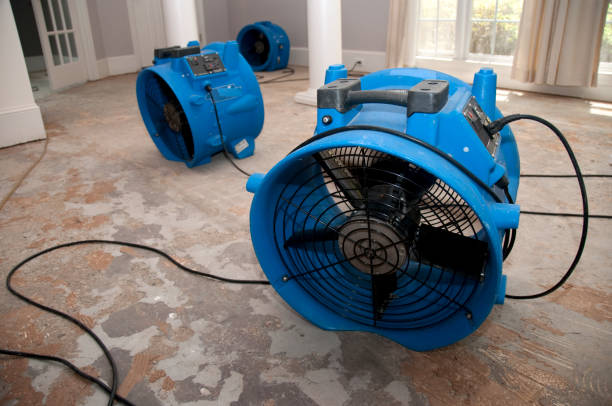 Best Water damage restoration near me  in Columbiana, OH